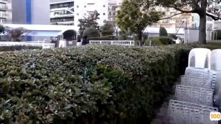 老司机求个幼女的番号㊙️➕天堂aⅴ亚洲av在线av